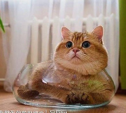 明星幕后真相揭露：娱乐圈吃瓜大戏的前因后果🕵️‍♀️与表情包密码