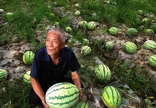 娱乐圈最新爆料库揭秘：明星幕后故事与国产影视新作动态