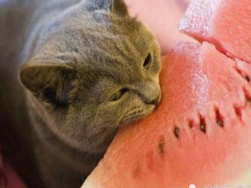 娱乐圈幕后揭秘｜那些你没听过的趣事和黑料，吃瓜必看！