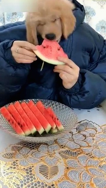 国产岛国片突然崛起，竟成热议焦点，网民反应两极化